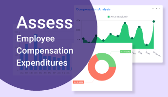 ukg-compensation-dashboard